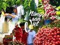 Nông sản Việt trên bản đồ xuất khẩu: Vượt rào cản, nâng tầm thương hiệu