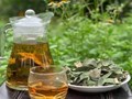 Trà thảo mộc: Bí quyết sống khỏe cho người cao tuổi mùa nắng nóng