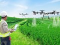 Nông nghiệp thông minh: Khi chuyển đổi số đến với ruộng đồng