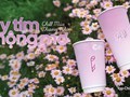 Ly tím mộng mơ – Phê La và mùa chill thương nhớ