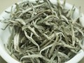 Bạch trà Shan tuyết: Tinh hoa trà trắng vùng cao