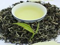 Lục trà Shan Tuyết: Thức uống cho sức khỏe và sắc đẹp