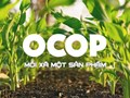 OCOP: Đánh thức tiềm năng từ những sản vật quê hương