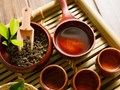 Chìa khóa cho tuổi già khỏe mạnh - Khám phá sức mạnh chống lão hóa của flavonoid và trà