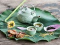  10 công dụng tốt cho sức khoẻ của trà lá sen