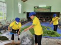 Phát triển chuỗi giá trị chè Tân Cương: Hướng đi từ những mô hình canh tác bền vững