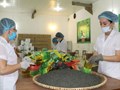 Sở hữu trí tuệ: ‘Vũ khí’ giúp HTX chè Thái Nguyên khẳng định vị thế quốc tế