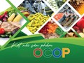 OCOP – Đòn bẩy phát triển kinh tế nông thôn