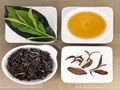 Đông Phương Mỹ Nhân: Vẻ đẹp quý phái của trà Oolong Đài Loan