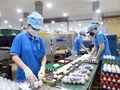 Khi doanh nghiệp nhỏ đóng vai trò lớn trong nền kinh tế