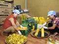 Chiêu trò lừa đảo núp bóng 'Chè Thái Nguyên': Cảnh báo người tiêu dùng thời công nghệ số