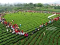 Thái Nguyên: Nơi lịch sử, văn hóa và kinh tế cùng hòa nhịp phát triển