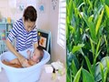 Cách tắm lá chè xanh cho trẻ sơ sinh trị "rôm sảy, mụn nhọt"