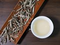 Bạch Ngọc Shan: Món quà vô giá từ rừng già Hà Giang
