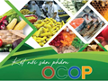 Xu hướng chuẩn hóa chất lượng các nhóm sản phẩm OCOP gắn với yếu tố sức khỏe