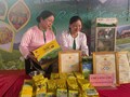 Liên kết chuỗi: Chìa khóa nâng tầm giá trị chè Tân Sơn