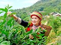 Nâng tầm thương hiệu nông sản từ trải nghiệm lữ hành