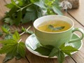 Giảo cổ lam: Thảo dược "nhân sâm phương Nam" và những công dụng sức khỏe vượt trội