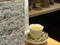 Trà Bạch Mao: Khúc nhạc nhẹ tựa sương sớm giữa núi rừng Bảo Lộc