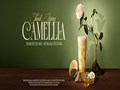 Thanh Hương Camellia: Gió mới thư thái cho mùa hè 2025 từ Katinat