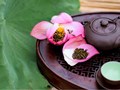 Chọn trà nền ướp sen: Nghệ thuật cảm vị của người nghệ nhân Hà Nội