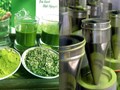 Matcha Việt Nam: Lối ra mới cho ngành chè trong kỷ nguyên bền vững