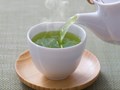 Polyphenol trong trà xanh: “Bác sĩ thầm lặng” giữ gìn sức khỏe đường ruột