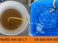 Cách làm sạch nước sinh hoạt sau mưa lũ