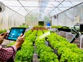 Kinh tế nông thôn trước ngưỡng cửa chuyển đổi xanh và tuần hoàn