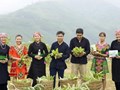 Start-up về quê: Làn sóng khởi nghiệp nông thôn thời 4.0