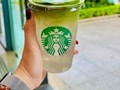 Starbucks ra mắt “cực phẩm” mùa hè: Matcha kết hợp nước dừa gây sốt cộng đồng