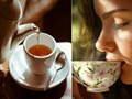 Thưởng trà bằng khứu giác: Nghệ thuật cảm nhận hương thơm qua từng loại trà