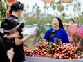 Thương mại điện tử đưa nông sản Việt "vượt lũy tre làng" ra thế giới