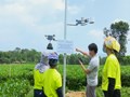 Đổi mới sáng tạo: Động lực đưa chè Việt vươn ra thế giới