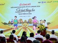 Giải Marathon Quốc tế VTV LPBank 2026: Cú hích kinh tế - du lịch cho Ninh Bình