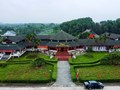 Trà Thái Nguyên trên hành trình hướng tới tương lai xanh