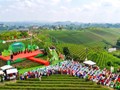 Thái Nguyên tăng tốc cho Festival Trà Quốc tế 2026: Đòn bẩy kinh tế và khát vọng nâng tầm thương hiệu trà Việt
