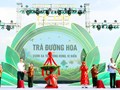 Quảng Ninh: Khai mạc Lễ hội Trà Đường Hoa và đón Bằng công nhận Cây chè Di sản