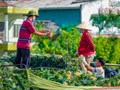 Đa dạng hóa sản phẩm – Giải pháp nâng sức cạnh tranh cho nông sản