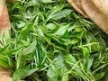 Ngành chè tìm động lực tăng trưởng từ các thị trường mới