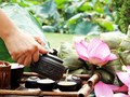 Hành trình trà sen Tây Hồ thành biểu tượng văn hóa