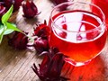 Trà hoa Hibiscus – Thảo dược quý giá từ lục địa đen 