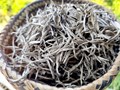 Bản giao hưởng hương vị Shan Tuyết Phình Hồ