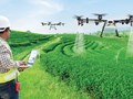 AI và thương mại điện tử: "Chìa khóa vạn năng" giúp nông sản Việt vượt rào cản, vươn ra toàn cầu