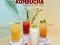  “Nữ hoàng giải khát” Kombucha lên ngôi
