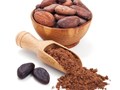 Cacao bản địa hóa trong F&B Việt