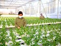 Kinh tế nông thôn khởi sắc sau làn sóng đầu tư mới