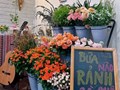 “Buffet hoa” và cà phê - trải nghiệm độc đáo được giới trẻ Hà Nội đón nhận