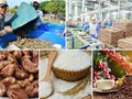 Nông sản Việt Nam: Tăng cường năng lực xuất khẩu bằng ứng dụng công nghệ