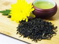Khám phá vòng đời của trà: Khi thời gian làm nên hương vị